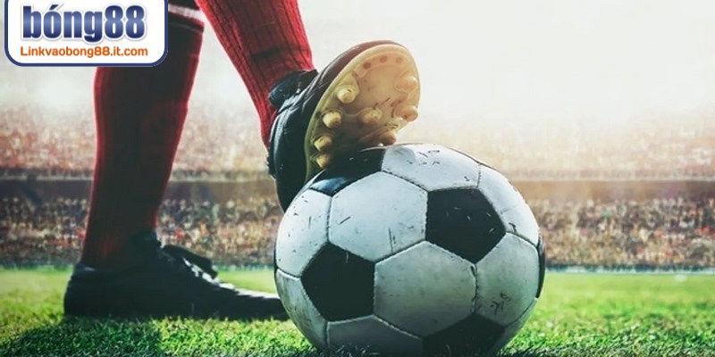 Phân tích tỷ lệ Odds giúp thành viên chọn được thời điểm vào tiền lý tưởng nhất